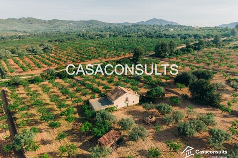 Landejendom i Les Useras, Castellon, Les Useras - € 66.000 | Ref: 293 - foto 5